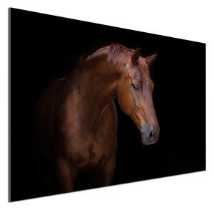 Dekorační panel sklo Hnědý kůň pl-pksh-100x70-f-114030424