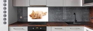 Skleněný panel do kuchynské linky Červená kočka pl-pksh-100x70-f-126034635