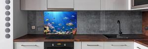 Panel do kuchyně Korálový útes pl-pksh-100x70-f-161347812