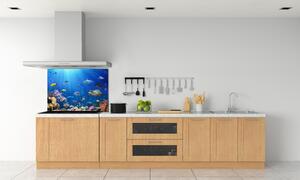 Panel do kuchyně Korálový útes pl-pksh-100x70-f-161347812
