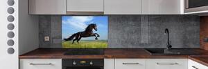 Panel do kuchyně Černý kůň na louce pl-pksh-100x70-f-26473191