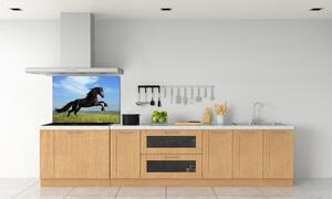 Panel do kuchyně Černý kůň na louce pl-pksh-100x70-f-26473191