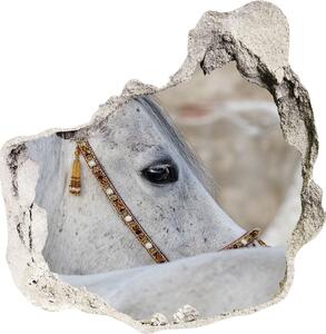 Díra 3D fototapeta nálepka Bílý arabský kůň nd-p-143185113