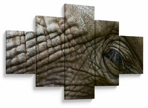 Obraz - Detailní fotografie starého sloního oka (125x70 cm)