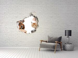 Díra 3D fototapeta na stěnu Psi a kočky nd-p-104206550