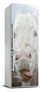 Foto nálepka na ledničku Šílený bílý kůň FridgeStick-70x190-f-80296116
