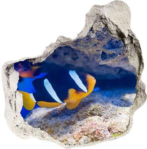 Díra 3D fototapeta nálepka Tropická ryba nd-p-105173265