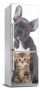 Foto nálepka na ledničku stěnu Pes a kočka FridgeStick-70x190-f-80558737