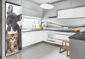 Foto nálepka na ledničku stěnu Pes a kočka FridgeStick-70x190-f-80558737