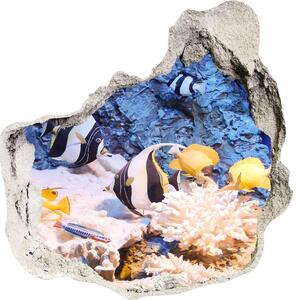 Díra 3D fototapeta nálepka Korálový útes nd-p-105919456
