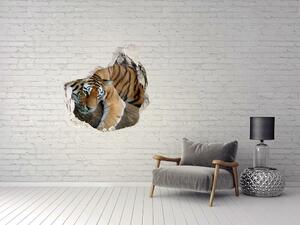Díra 3D fototapeta nálepka Tygr na stromě nd-p-4289086