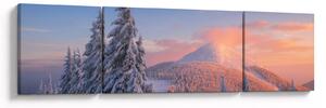 Obraz - Zimní krajina (170x50 cm)