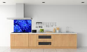 Panel do kuchyně Modrá astra pl-pksh-100x70-f-64208626