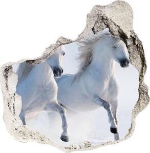 Díra 3D fototapeta na stěnu Dva koně ve sněhu nd-p-46568530