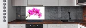 Panel do kuchyně Růžová orchidej pl-pksh-100x70-f-67673367