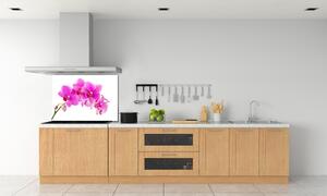 Panel do kuchyně Růžová orchidej pl-pksh-100x70-f-67673367