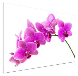 Panel do kuchyně Růžová orchidej pl-pksh-100x70-f-67691978