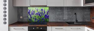 Skleněný panel do kuchyně Levandule pl-pksh-100x70-f-68986983