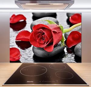 Panel do kuchyně Červená růže pl-pksh-100x70-f-69893127