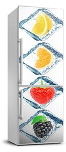 Nálepka na ledničku samolepící Ovoce a led FridgeStick-70x190-f-81551206