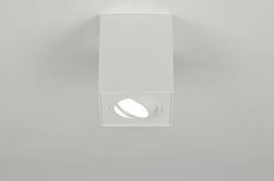 Stropní bodové bílé LED svítidlo Tyler 1 (LMD)