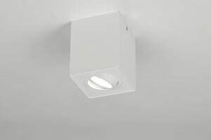 Stropní bodové bílé LED svítidlo Tyler 1 (LMD)