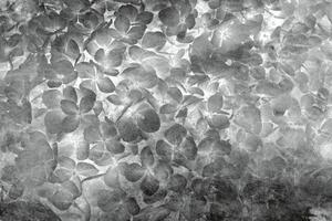 Fototapeta - Abstraktní les 150x250 + zdarma lepidlo