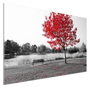 Panel do kuchyně Červený strom pl-pksh-100x70-f-76838967
