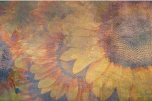 Fototapeta - Abstraktní slunečnice 150x250 + zdarma lepidlo