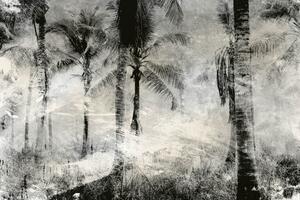 Fototapeta - Abstraktní palmy 150x250 + zdarma lepidlo