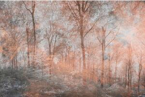 Fototapeta - Abstraktní barevný les 225x250 + zdarma lepidlo
