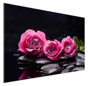 Dekorační panel sklo Růžové růže pl-pksh-100x70-f-77048055