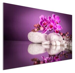 Panel do kuchyně Růžová orchidej pl-pksh-100x70-f-82457632