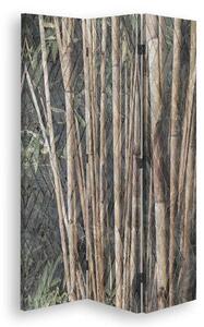 Paraván Hnědý bambus Rozměry: 145 x 170 cm, Provedení: Klasický paraván
