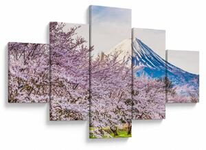 Obraz - Japonsko na jaře (125x70 cm)