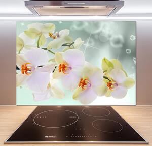 Panel do kuchyně Bílá orchidej pl-pksh-100x70-f-91133337