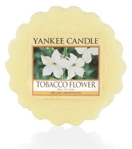 Yankee Candle - vonný vosk Tobacco Flower 22g