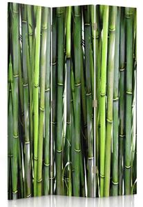 Paraván Bambus Rozměry: 110 x 170 cm, Provedení: Klasický paraván