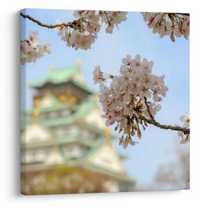Obraz - Sakura (30x30 cm)