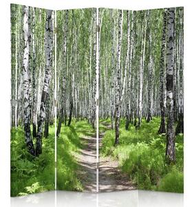 Paraván Cesta březovým lesem Rozměry: 145 x 170 cm, Provedení: Klasický paraván