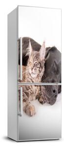 Foto nálepka na ledničku stěnu Pes a kočka FridgeStick-70x190-f-91792125
