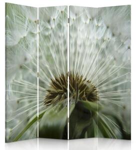Paraván Krásná pampeliška Rozměry: 145 x 170 cm, Provedení: Klasický paraván