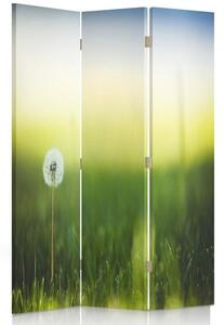 Paraván Pampeliška v zelené trávě Rozměry: 110 x 170 cm, Provedení: Klasický paraván