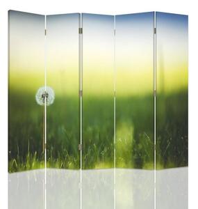 Paraván Pampeliška v zelené trávě Rozměry: 180 x 170 cm, Provedení: Klasický paraván