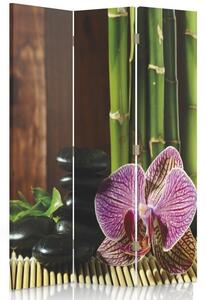 Paraván Oblázky a orchideje Velikost: 110 x 170 cm, Provedení: Klasický paraván