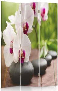Paraván Orchidej a šumivé kameny Velikost: 110 x 170 cm, Provedení: Klasický paraván
