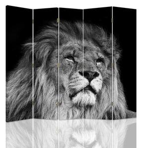 Paraván Lion v černé a bílé barvě Velikost: 180 x 170 cm, Provedení: Klasický paraván