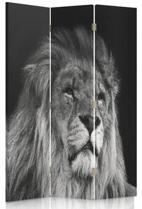Paraván Lion v černé a bílé barvě Rozměry: 110 x 170 cm, Provedení: Klasický paraván