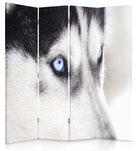 Paraván Sibiřský husky Rozměry: 145 x 170 cm, Provedení: Klasický paraván