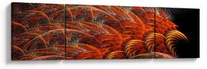 Obraz - Abstraktní imitace peří (170x50 cm)